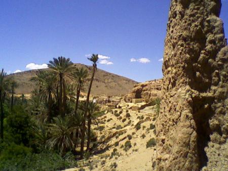 ich oasis