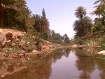 brahim orientale